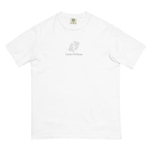 Pisces Embroidered T-shirt